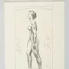 Schuler Auktionen AG - Hodler, Ferdinand