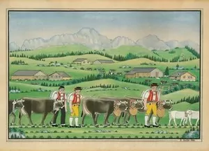 Schuler Auktionen AG - Johannes Zülle