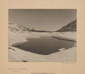 Schuler Auktionen AG - Albert Steiner