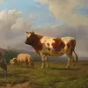 Schuler Auktionen AG - Jan Bedijs Tom