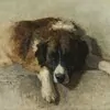Schuler Auktionen AG - Henriette Ronner-Knip