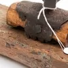 Schuler Auktionen AG - Daumenschraube
