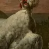 Schuler Auktionen AG - Pieter Casteels III