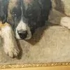Schuler Auktionen AG - Henriette Ronner-Knip