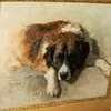 Schuler Auktionen AG - Henriette Ronner-Knip