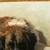 Schuler Auktionen AG - Henriette Ronner-Knip