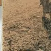 Schuler Auktionen AG - Segantini, Mario
