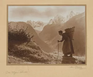 Schuler Auktionen AG - Albert Steiner