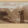 Schuler Auktionen AG - Albert Steiner