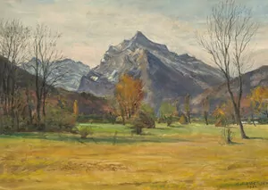Schuler Auktionen AG - Adolf Helmberger