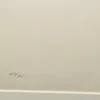 Schuler Auktionen AG - Joan Miro