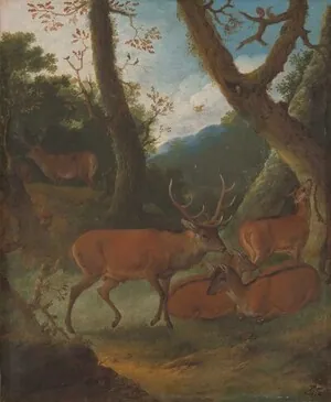 Schuler Auktionen AG - Johann Melchior Roos
