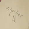 Schuler Auktionen AG - Hugo Scheiber 