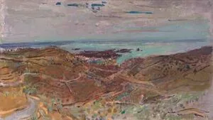 Schuler Auktionen AG - Henri Schmid