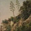 Schuler Auktionen AG - Friedrich Meyer-Schulthess 