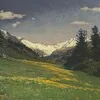 Schuler Auktionen AG - Emil Schulze 