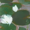 Schuler Auktionen AG - Teruko Yokoi