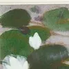 Schuler Auktionen AG - Teruko Yokoi