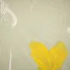 Schuler Auktionen AG - Helen Frankenthaler