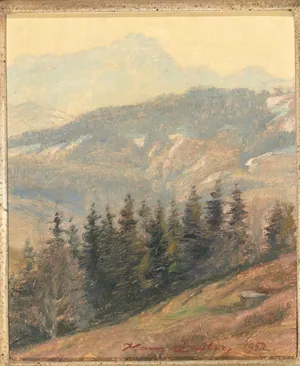 Schuler Auktionen AG - Hans Arnold Zeller