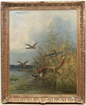 Schuler Auktionen AG - Moritz Müller jun. 
