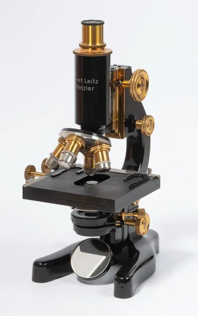 Schuler Auktionen AG - Ernst Leitz GmbH, Labor-Mikroskop