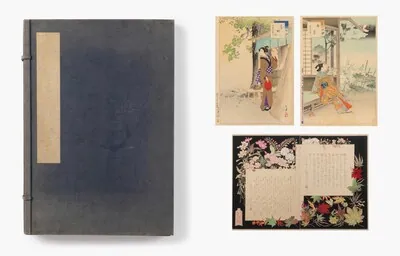 Schuler Auktionen AG - Mizuno Toshikata (1866–1908)