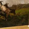 Schuler Auktionen AG - Rudolf Koller 