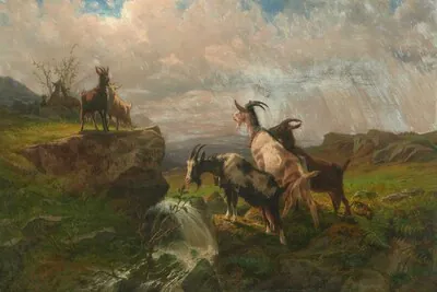 Schuler Auktionen AG - Rudolf Koller 