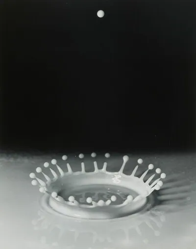 Schuler Auktionen AG - Harold Edgerton