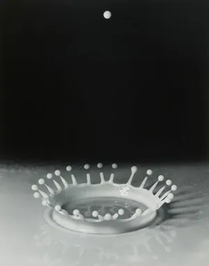 Schuler Auktionen AG - Harold Edgerton