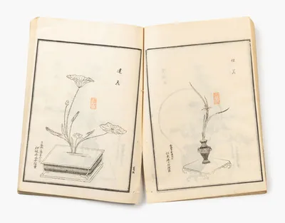 Schuler Auktionen AG - Koryû Ikebana Saisen Hyappin zu