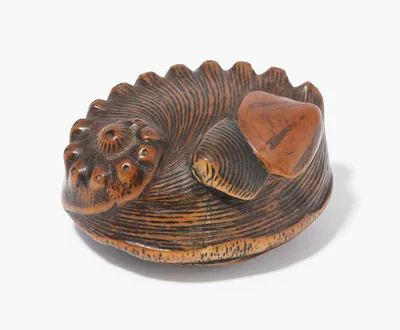 Schuler Auktionen AG - Holz-Netsuke