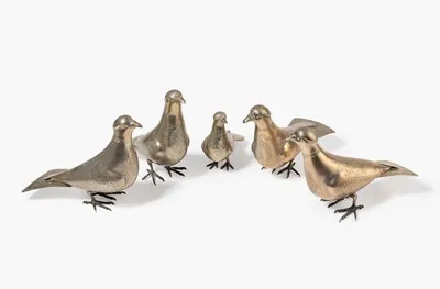 Schuler Auktionen AG - Lot: 5 Tauben