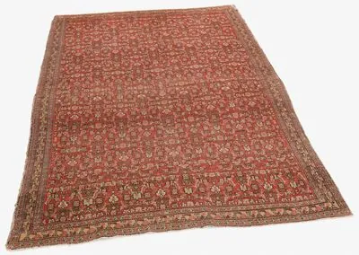 Schuler Auktionen AG - Senne