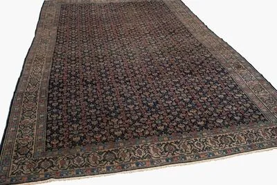 Schuler Auktionen AG - Senne