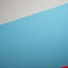 Schuler Auktionen AG - Peter Halley 