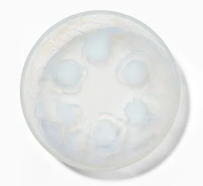 Schuler Auktionen AG - Etling, Schale