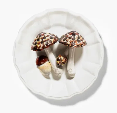 Schuler Auktionen AG - ESTE, Schaugericht "Pilze"