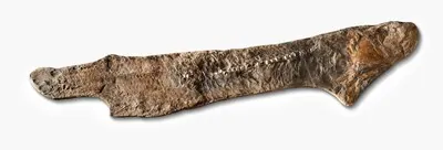 Schuler Auktionen AG - Beissfisch