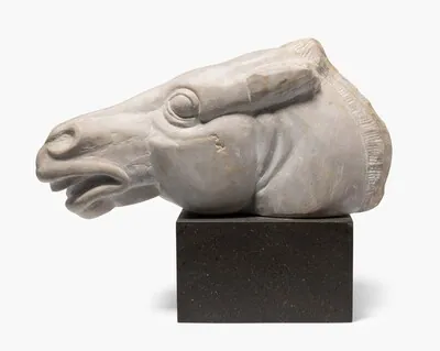 Schuler Auktionen AG - Pferdekopf