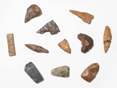 Schuler Auktionen AG - Lot: 11 Steinwerkzeuge