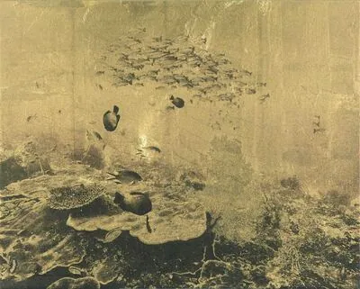 Schuler Auktionen AG - Daniel Bühler