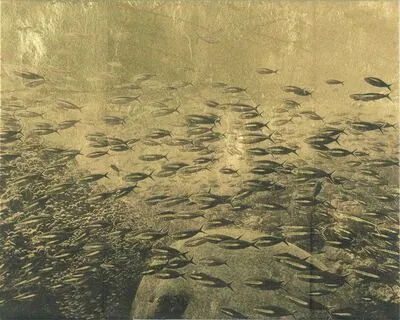 Schuler Auktionen AG - Daniel Bühler