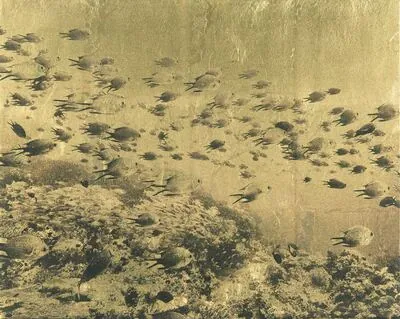 Schuler Auktionen AG - Daniel Bühler