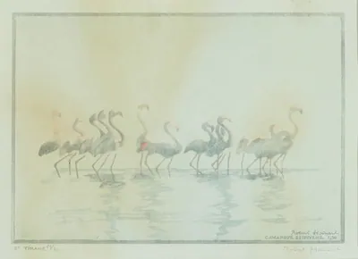 Schuler Auktionen AG - Robert Hainard