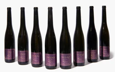 Schuler Auktionen AG - Nikolaihof, 1994