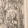 Schuler Auktionen AG - Albrecht Dürer