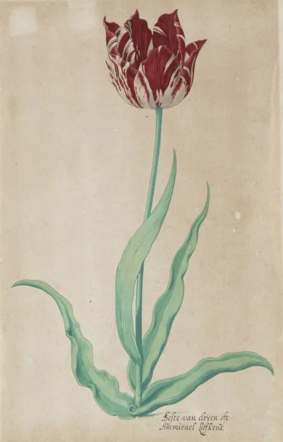 Schuler Auktionen AG - Pieter Holsteyn d.J.