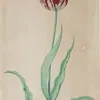 Schuler Auktionen AG - Pieter Holsteyn d.J.